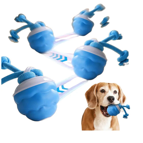 Motion-Activated Interactive Dog Toy - Squeaky Rolling Ball for Small Dogs and Cats - Perfect for Daily Training and Playtime (2.95*2.95*4.33 Inch)