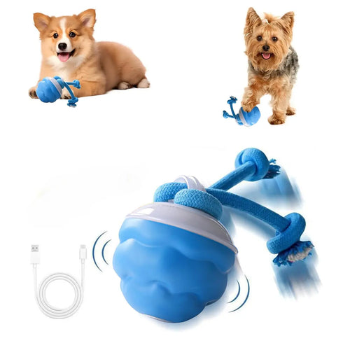 Motion-Activated Interactive Dog Toy - Squeaky Rolling Ball for Small Dogs and Cats - Perfect for Daily Training and Playtime (2.95*2.95*4.33 Inch)